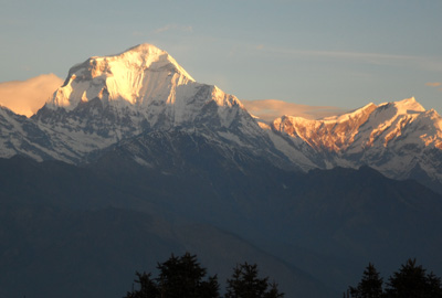 Ghorepani Poon hill trek, the best short trek in Nepal